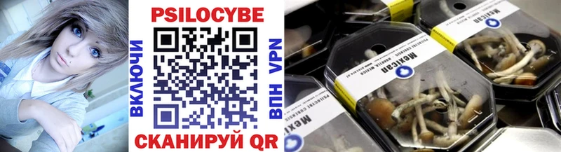 ОМГ ОМГ маркетплейс  что такое   Тында  Галлюциногенные грибы Cubensis 