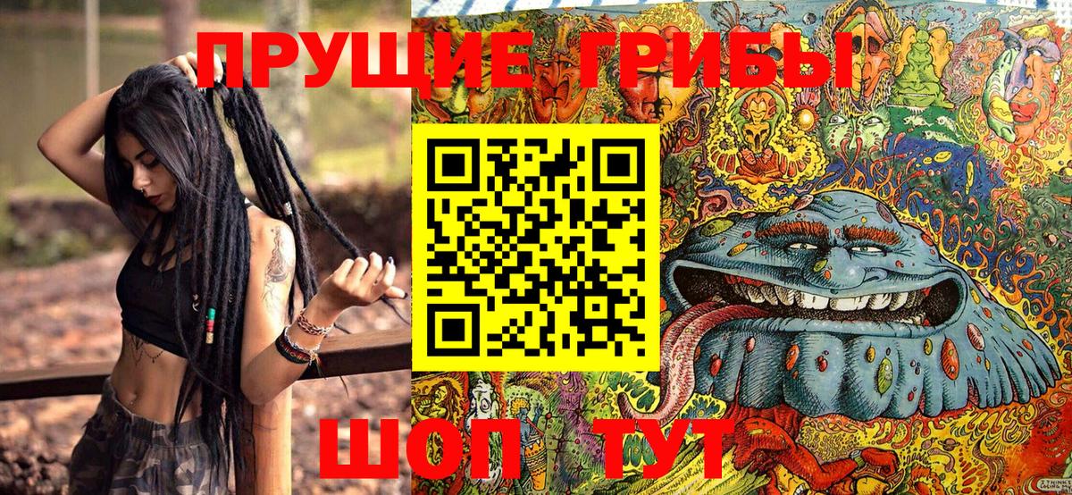 Псилоцибиновые грибы Psilocybine cubensis Тында