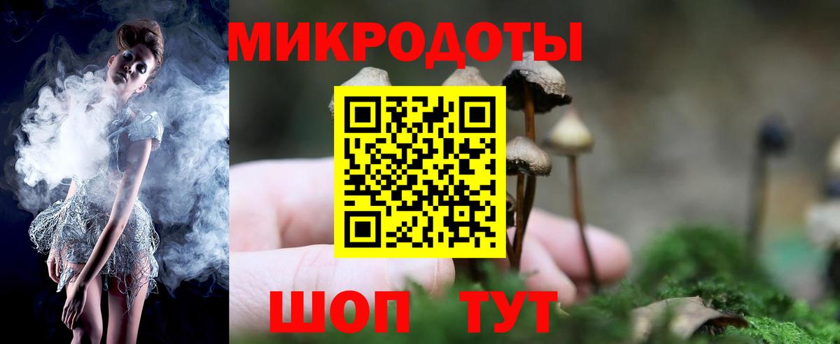 Псилоцибиновые грибы MAGIC MUSHROOMS  Вход с VPN  где купить наркоту  Тында 