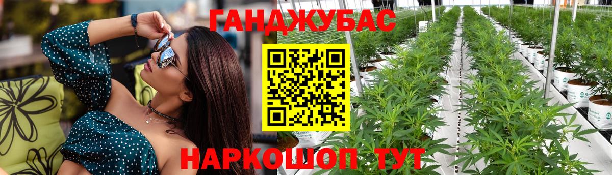Конопля гибрид Тында